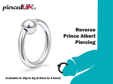 reverse prince albert piercing|Reverse Prince Albert, moving from 12g to 10g. : r/piercing